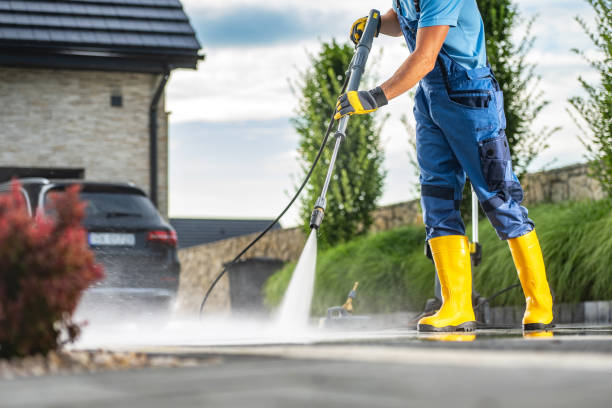Best Animal Enclosure Cleaning  in Bellaire, OH